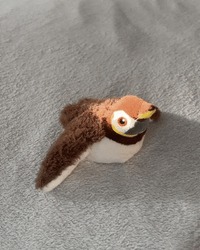 washable and chargeable toy
